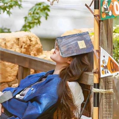 保护证人组粤语